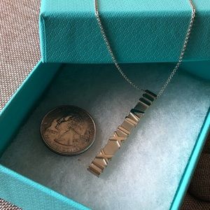 Tiffany & Co Atlas Pendant and Necklace